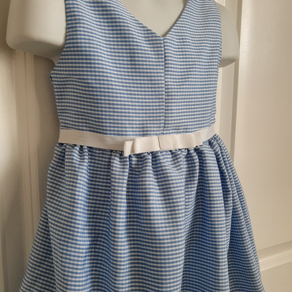 Pin Stripe Dress - Picture 4 of 5